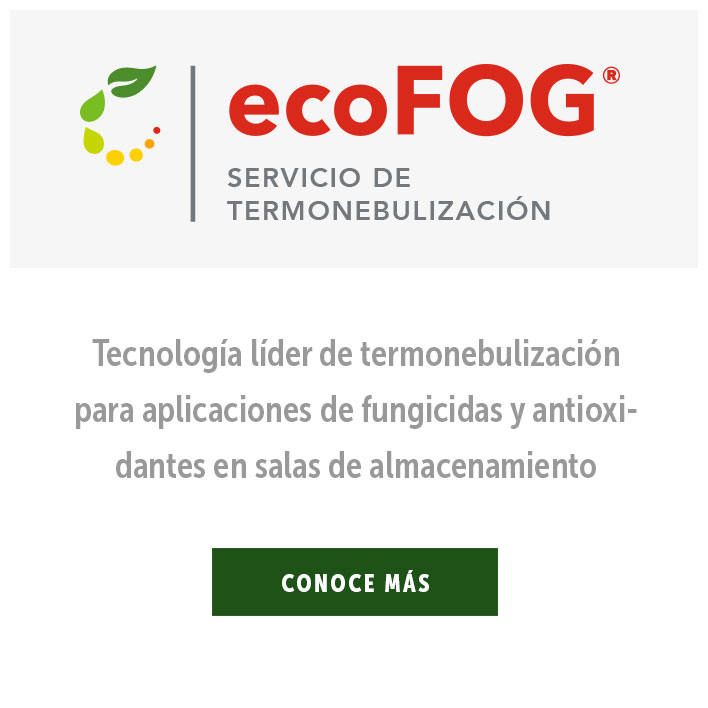 ecoFog