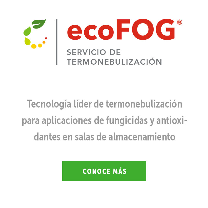 ecoFog