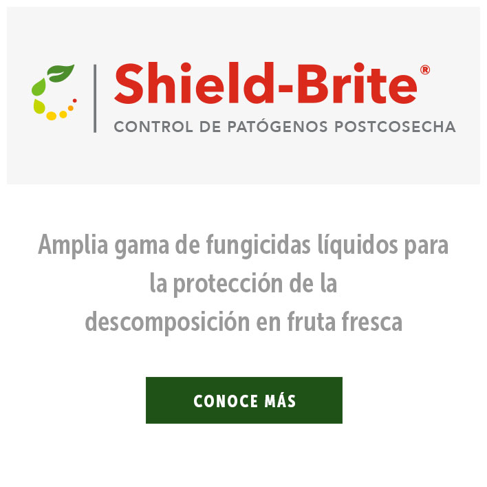 Shield-Brite