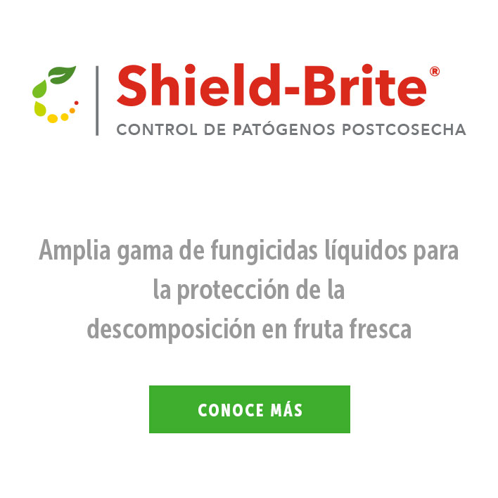 Shield-Brite