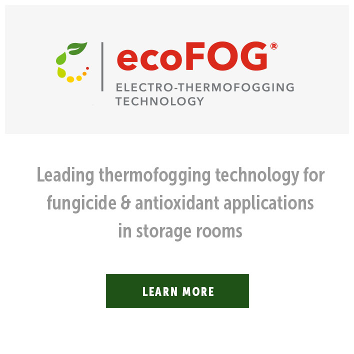 ecoFog