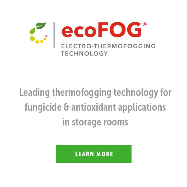 ecoFog